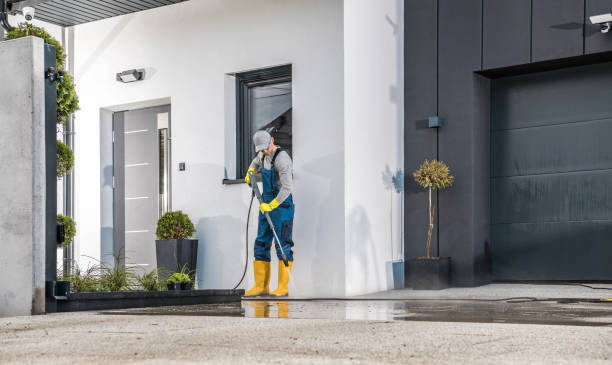 Animal Enclosure Cleaning in Morris, OK